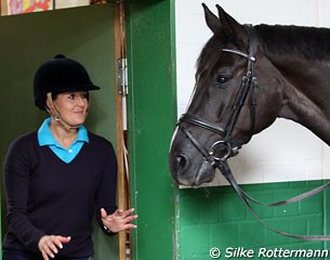 Desperado wants a treat from the tack room