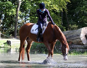Wet and Wild!