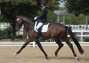 Michael Bragdell and Hemmingway win the 4-year old division at the 2012 U.S. Young Horse Championships :: Photo © Phelpsphotos.com