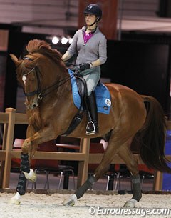 The training session concluded with more relaxed cantering in another warm up ring (Den Bosch has three warm up arenas)