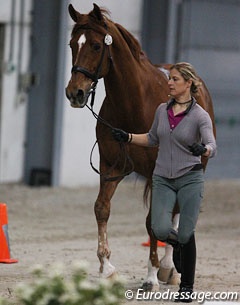 Adelinde Cornelissen and Parzival at the re-inspection :: Photo © Astrid Appels