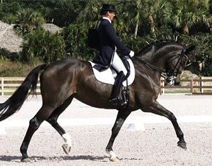 Mikala Gundersen and My Lady at the national show in Wellington :: Photo © Betsy LaBelle