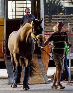 Valegro arrives at the Jim Brandon Equestrian Centre for the 2012 World Dressage Masters in Palm Beach :: Photo © Sue Stickle
