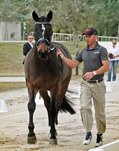Steffen Peters and Ravel at the vet inspection at the 2012 World Dressage Masters Palm Beach