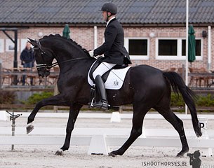 Nick van Laer on Sir Donovan :: Photo © Ishoothorses.be