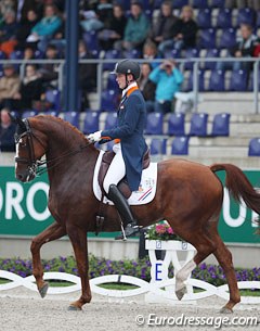 Diederik van Silfhout on Vorst D