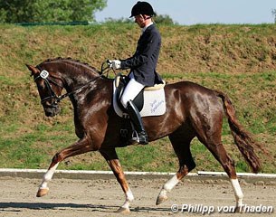 Eike Bewerungen on Fernando  (by Florencio I x Donnerhall)