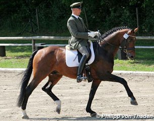 Roland Volkmann on Bertolini (by Belissimo x Show Star)