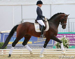 Jessica Lynn Andersson on Coal Diamond at the 2013 Bundeschampionate :: Photo © LL-foto