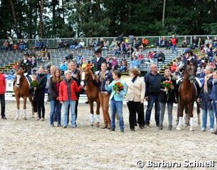 The pony special with Dornik B, Konrad and Dressman at the 100th anniversary celebration of the DOKR at the 2013 Bundeschampionate :: Photo © Barbara Schnell