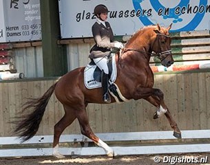 Jessica Michel and Don Juan de Hus at the KWPN/KNHS Wild Card Day in Bunschoten :: Photo © Leanjo de Koster