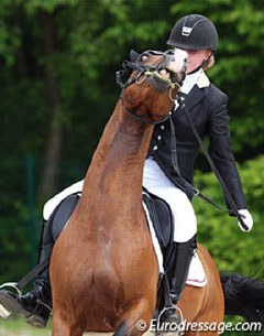 Dealing with a spooking horse can be hard :: Photo © Astrid Appels
