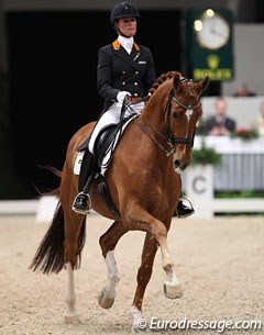 Adelinde Cornelissen and Parzival at the 2013 CDI-W 's Hertogenbosch :: Photo © Astrid Appels