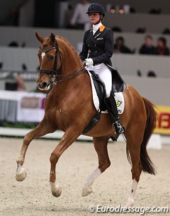 Adelinde Cornelissen and Parzival at the 2013 CDI-W 's Hertogenbosch :: Photo © Astrid Appels