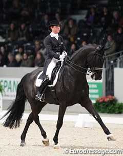 Danielle Heijkoop and Siro at the 2013 CDI-W 's Hertogenbosch :: Photo © Astrid Appels