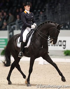 Madeleine Witte-Vrees on Wynton at the 2013 CDI-W 's Hertogenbosch :: Photo © Astrid Appels
