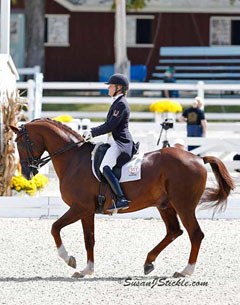 Ashley Holzer and Jewel's Adelante at the 2013 Dressage at Devon CDI-W :: Photo © Sue Stickle