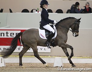 Dutch Joelle Peters on the Belgian owned New Forest Pony Haasendonck's Sultan