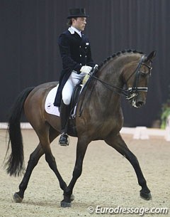 2006 WEG Dutch team member Laurens van Lieren is back in the Grand Prix ring with Welnetta (by Louisville x Rubiquil)