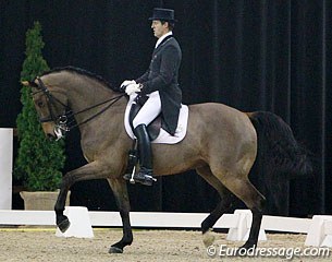 Belgian Wim Verwimp on the Danish warmblood gelding Pari Lani (by Solos Landtinus)