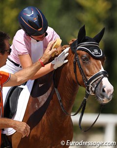 Demy Kurstjens gives Ciske a pat while the pony gets a sponge bath