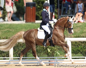 Italian Valentina Remold on Wonderboy (by Dressman)