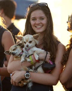 British Erin Williams with her chihuahua collection