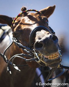 Damon Hill enjoys a big head shake before going in for the prize giving ceremony