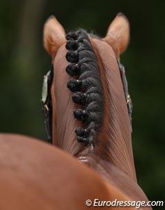 Don Johnson's beautiful braids