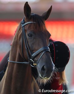 Check out Donnperignon's whiskers hit by morning sunlight