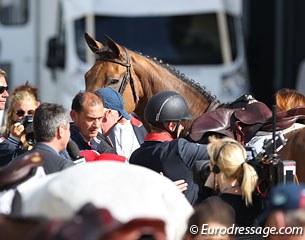 Gold medal mare Myrtille Paulois looking over the crowds