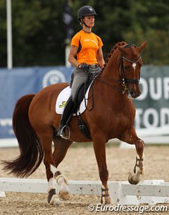 Adelinde Cornelissen schooling Parzival on Tuesday at the 2013 European Championships :: Photo © Astrid Appels