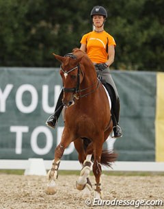 Adelinde Cornelissen on Parzival