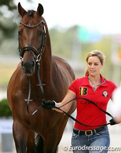 Belgian Julie de Deken and her Holsteiner stallion Lucky Dance did an immaculate presentation at the vet inspection at the 2013 European Championships :: Photo © Astrid Appels