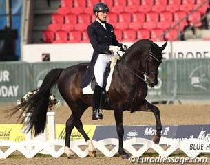 Henri Ruoste and Jojo AZ at the 2013 European Dressage Championships :: Photo © Astrid Appels