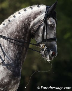 I love how sharp my camera is sometimes. Check out the foam coming out of Cassio's mouth