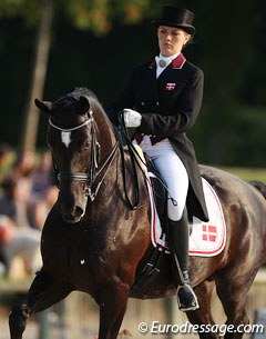 Danish Pernille Teidor Olesen on Cathrine Dufour's former junior rider's horse Don Dino (by Don Cardinale)