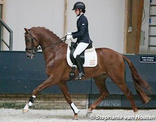 Foundation (by Amazing Star x Jazz) :: Photo © Stephanie van Houten