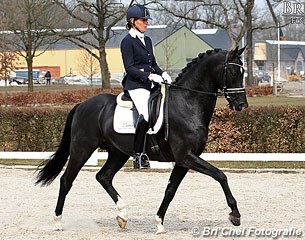 Gerdine Maree and Dark Pleasure at the Dutch WCYH selection trials :: Photo © Melissa Bouwman