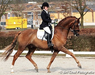Jessica Nijpjes and Devil Diamond N at the 2013 Dutch WCYH Selection Trial :: Photo © Bri'Chel Fotografie