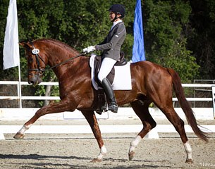 Charlotte Jorst and Vitalis at the 2013 CDI Flintridge :: Photo © Amy McCool