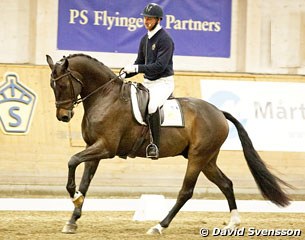 Test rider Patrik Kittel assessing the 4-year old winner Revolution (by Skovens Rafael x Don Schufro) at the 2013 Swedish Young Horse Championships in Flyinge :: Photo © David Svensson