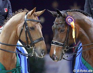 Smeyers Lazander and Eremo del Castegno meet and greet