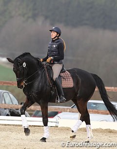 Russian Diana al Shaer schooling the 14-year old Danish bred Oldenburg gelding Ulan Raevdal (by Urprinz x Sokrates)