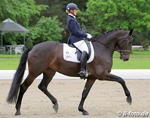 Hayley Beresford and Rebana W competing at the 2013 CDN Hagen :: Photo © LL-foto