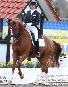 Alexandra Bimschas on Daintree  (by De Niro x Wanderbusch II). This horse is not related to Balkenhol's Dablino even though they share the same sire and grand sire