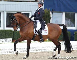 Michael Eilberg on the bay gelding Marakov (by Rufs x Mitjulands)