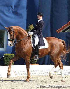 Jan Hermann and D'Accord in the Under 25 class at the 2013 CDI Hagen :: Photo © Astrid Appels