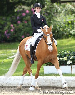 Sandra Aagaard Hyrm on Der Harlekin B at the 2013 CDIO-P Hagen :: Photo © Astrid Appels