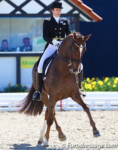 Saskia Lieben-Seutter on Du Soleil (by De Niro x Caprimond). The Austrian rider competed the gelding at the World Young Horse Championships, then he sold to Sven Rothenberger but was returned. The pair is now showing at PSG level.